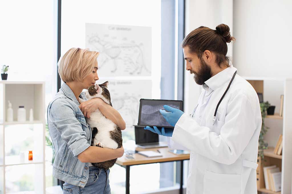 soporte legal para clínicas veterinarias a enfocarse en el cuidado de los pacientes