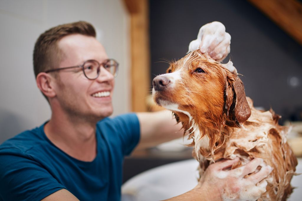 pet costs
