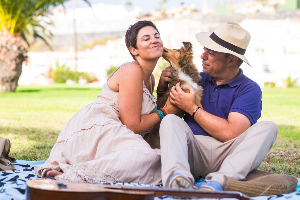 pet insurance claim denied