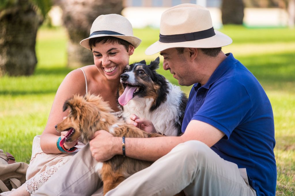 pet insurance lawyer in Florida